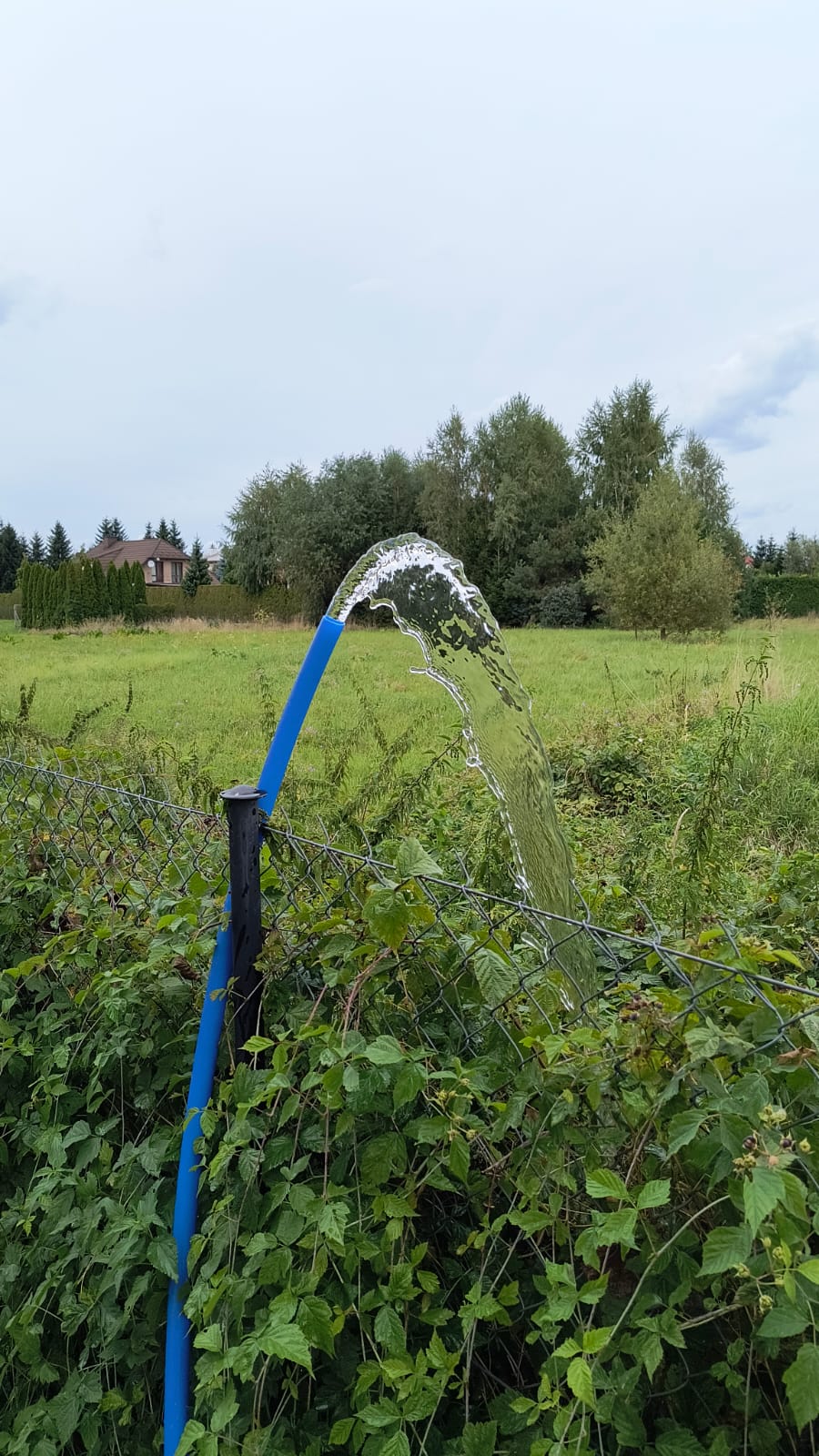 Jak sprawdzić jakość wody ze studni? Kompletny poradnik – HydroDetektyw